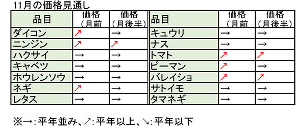 台風影響で出荷数量平年下回る 11月野菜価格見通し