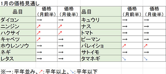 1月野菜価格見通し