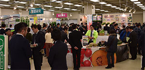 先まで詰まった「わくわくコーン82」 種苗会社が農業をオール提案 カネコ種苗