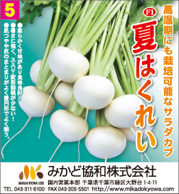 みかど協和（株）　サラダカブ「F1 夏はくれい」