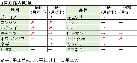 キャベツも高値の見込み 3月野菜見通し