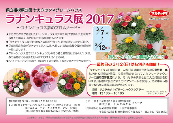ラナンキュラス展2017 神奈川県で