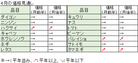 タマネギも高値か 4月の野菜価格