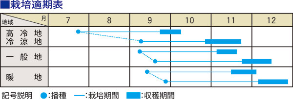 漬物用ダイコン「Ｆ1ふるさと」 ファンの声に答え再販