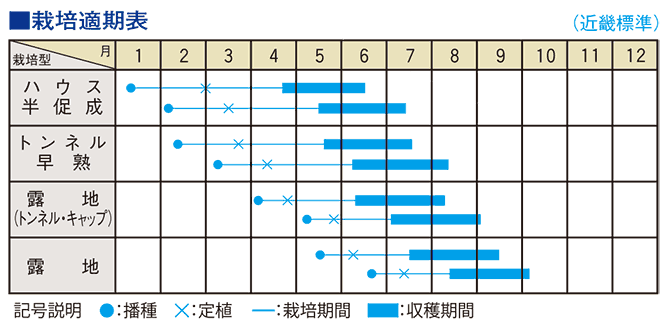 うどんこ病に強いキュウリ「ロジグリーン」の栽培適期表