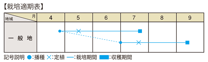 もちトウモロコシ『もちもち太郎』　栽培適期表