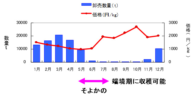 そよかの2