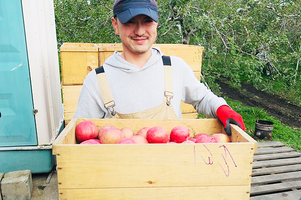 りんご農家イメージ